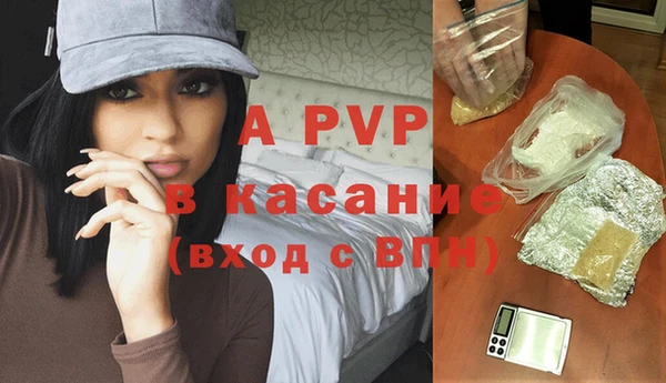 шишки Абаза